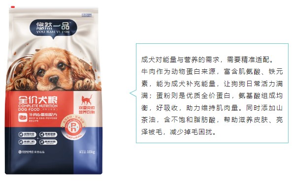 派得寵物