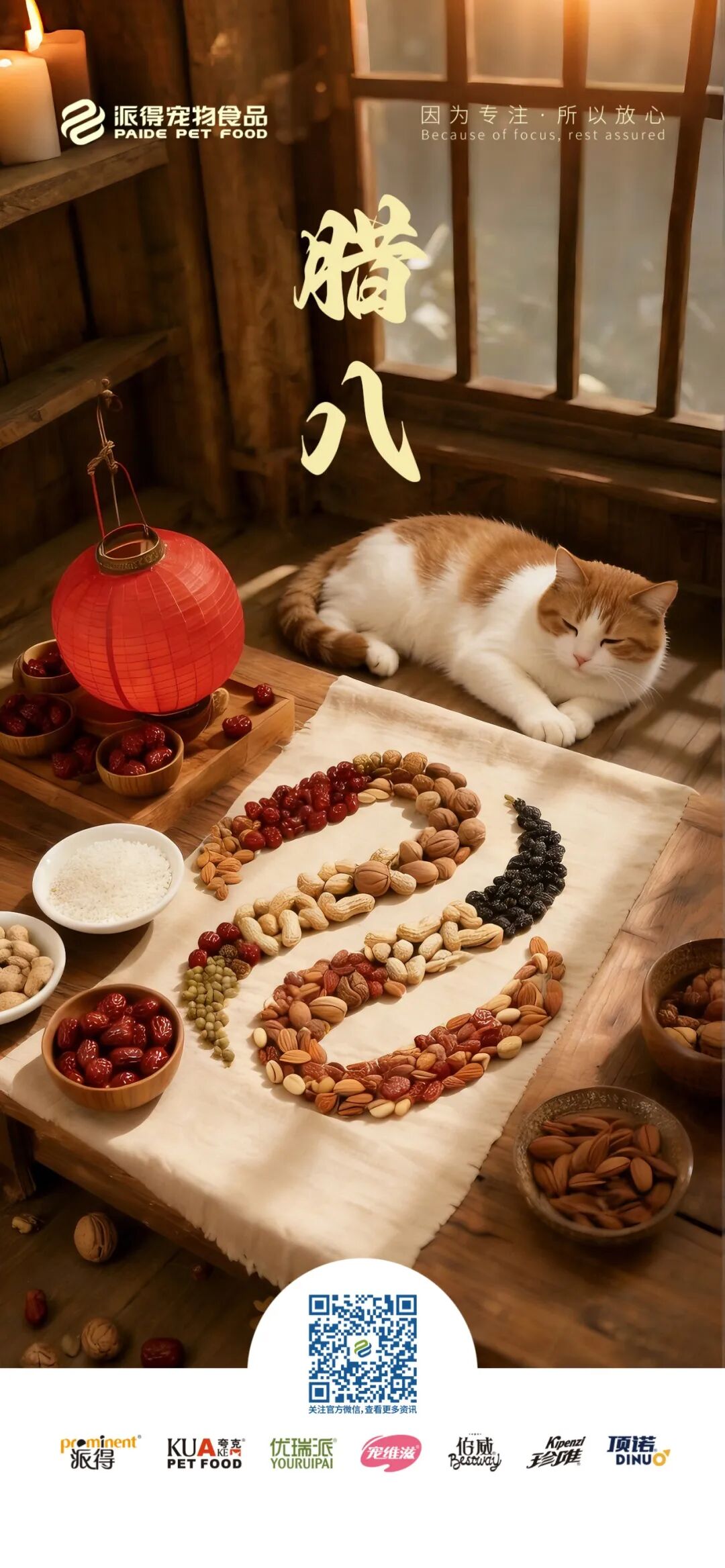 派得寵物